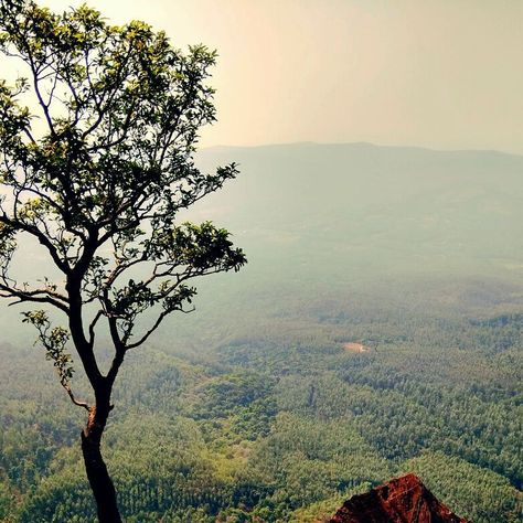 Chikmagalur, Karnataka Chikmagalur Photography, Adventure Photography, Travel Wanderlust, Solo Female Travel, Travel Stories, Female Travel, Adventure Travel, Travel Guide, Travel Tips