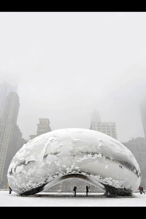 Chicago Chicago Cloud Gate, Chicago Snow, Chicago Bean, Snow Pictures, Millennium Park, My Kind Of Town, The Windy City, Winter Storm, Windy City