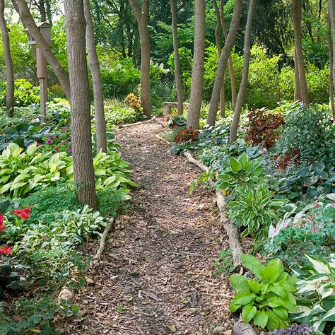 The Path Less Traveled - something to dream of. Forest Garden, Homestead Survival, Woodland Garden, Garden Pathway, Garden Edging, Chelsea Flower Show, Gorgeous Gardens, Shade Plants, Garden Cottage