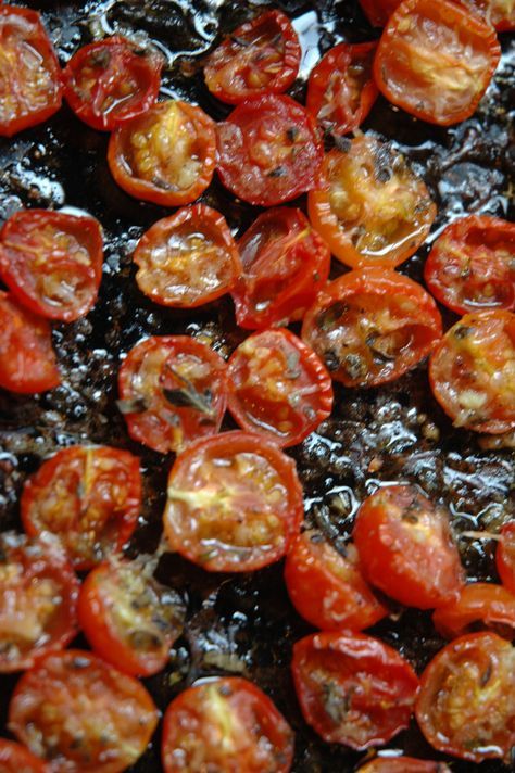 How to Freeze Herb Roasted Cherry Tomatoes Garden Tomato Recipes, Recipes To Freeze, Freezing Cherry Tomatoes, Lobster Stew, Tomatoes In Containers, How To Grow Tomatoes, Cherry Tomato Recipes, Freezing Herbs, Tomato Vine