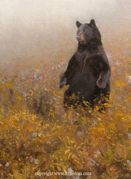 Available and sold Black Bear paintings by Kyle Sims Black Bear Painting Acrylic Easy, Brown Bear Painting, Black Bear Painting, Bear Oil Painting, Black Bear Art, Black Bears Art, Virginia Wolf, Bear Artwork, Bear Hunting