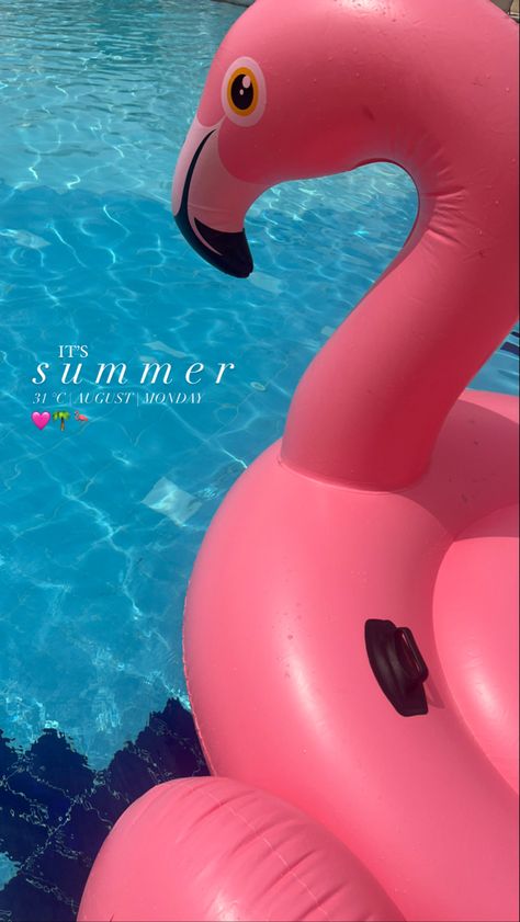 Flamingo / pink /pool Pink Pool, Flamingo Pink, Pool Floats, Summer Photos, Aesthetic Pictures, Flamingo, Bali, Floating, Pool