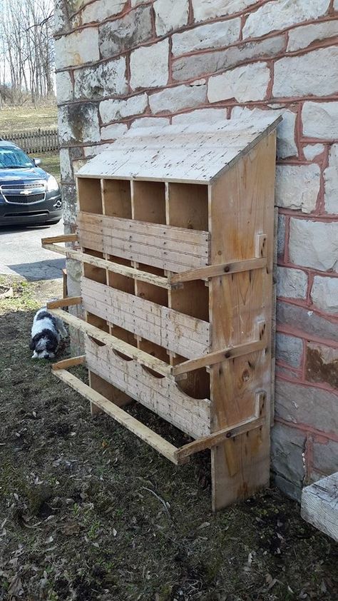 Nesting Boxes Decor, Chicken Laying Boxes, Chicken Nest, Chicken Shed, Nest Boxes, Chicken Nesting Boxes, Chicken Pen, Backyard Chicken Coop Plans, Diy Chicken Coop Plans