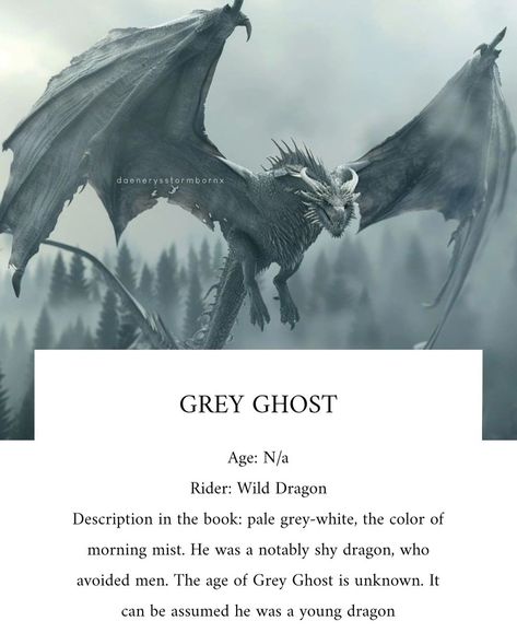 Grey Ghost Dragon Game Of Thrones, Grey Ghost, Grey Ghost Dragon, Ghost Dragon, Westeros Aesthetic, Fantasy Tv Shows, Dragon Names, Fire And Blood, Ghost House