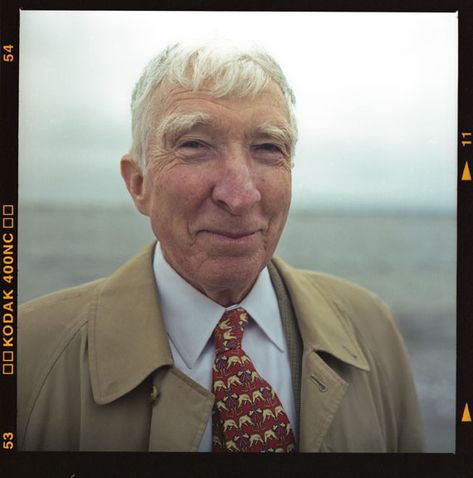 John Updike The Wallet Cyd Charisse, Flannel Suit, Grey Flannel, Writing Short Stories, Writers And Poets, Story Writing, Short Stories, The Man, Books To Read