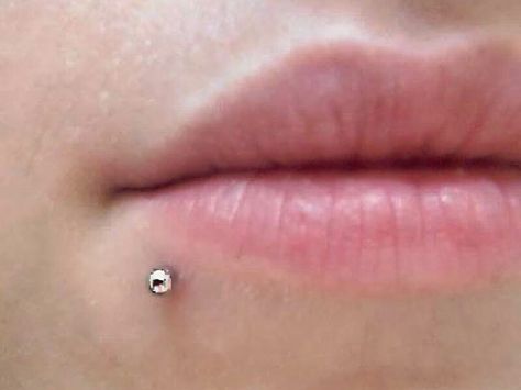 Lip piercing Slithering Snake, Lip Piercing Jewelry, Double Ear Piercings, Lip Stud, Small Lips, Face Piercings, Labret Piercing, Snake Bites, Face Chart