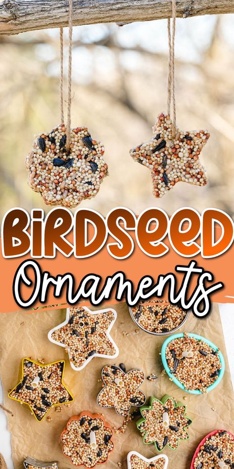 Agriculture Crafts, Bird Seed Crafts, Bird Seed Ornaments Recipe, Seed Ornaments, Birdseed Ornaments, Daycare Art, Camp Themes, Bird Suet, Bird Seed Ornaments