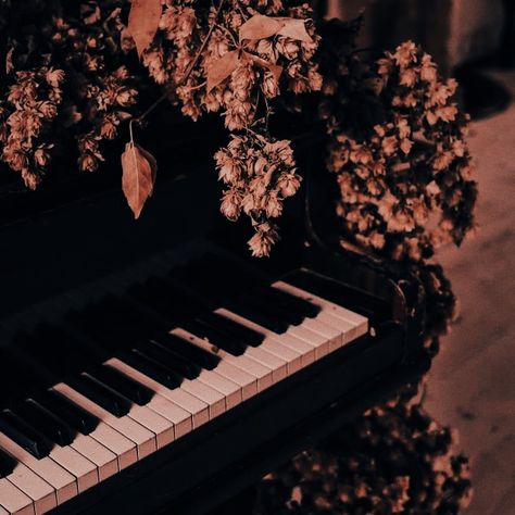 Piano, music, cottagecore, aesthetic Amino Background, Aesthetic Piano, Piano Pictures, Piano Aesthetic, Dark Academic, Academic Aesthetic, Piano Art, Old Pianos, Music Collage