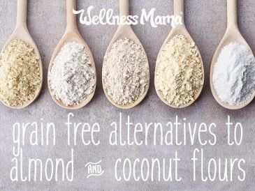 Other grain free alternaties to almond and coconut flour Lyme Diet, Vegetarian Tips, Natural Apothecary, Almond Flour Substitute, Almond Flour Pancakes, Grain Free Bread, Nourishing Food, Flour Substitute, Flour Alternatives