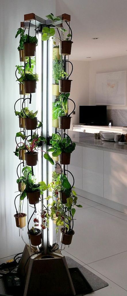 Indoor Gardening Ideas, Vertical Herb Gardens, Window Herb Garden, Vertical Garden Indoor, Vertical Herb Garden, Apartment Plants, Indoor Vegetable Gardening, Meteor Garden 2018, Aquaponics System