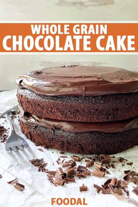 Whole Wheat Chocolate Cake, No Bread Diet, Healthier Alternatives, Cakes Recipes, Vegan Sausage, Pastry Flour, Healthy Cake, Cacao Powder, Fall Baking