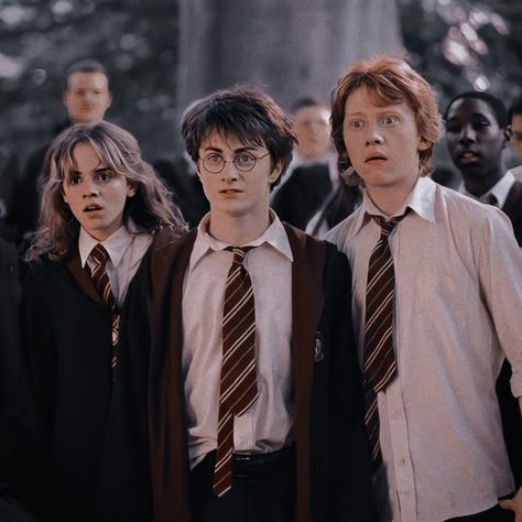 Harry Potter Trio, Emma Watson Rupert Grint, Ron Weasley Aesthetic, Granger Aesthetic, Young Harry Potter, Hermione Granger Aesthetic, Harry Potter Ginny Weasley, Draco Malfoy Harry Potter, Malfoy Harry Potter