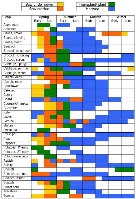 Vegetable Gardening- A great chart on Vegetable gardening  planting times, from Easy Vegetable Gardening Gardening Planting, Planting Calendar, Garden Veggies, Veg Garden, Vegetable Gardening, Veggie Garden, Edible Garden, Lawn And Garden, Growing Vegetables