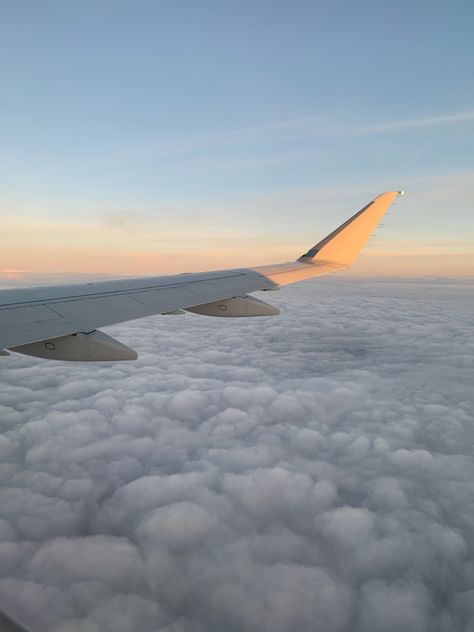 Early Morning Flights Aesthetic, Early Flight Aesthetic, Japan Flight Aesthetic, Airplane Asethic, Plane Flight Aesthetic, Air Plane Aesthetic, Aesthetic Aeroplane, Aeroplane Aesthetic, Aeroplane View