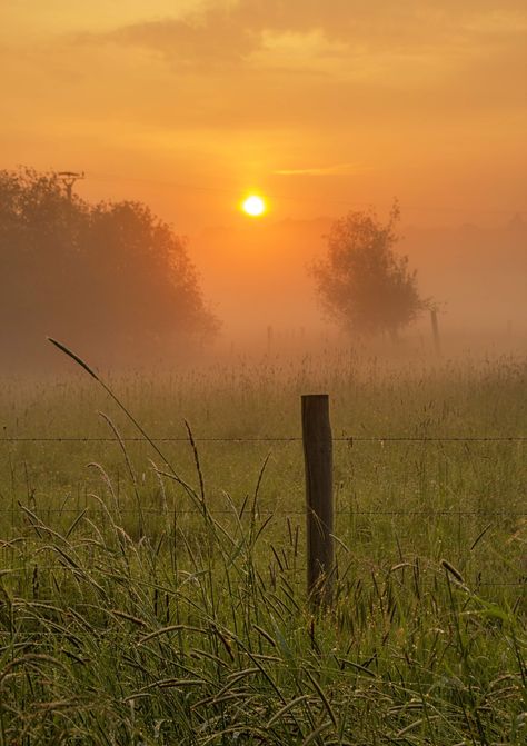 Morning Mist Aesthetic, Foggy Sunrise Aesthetic, Foggy Spring Morning, Mid Morning Aesthetic, Morning Fog Aesthetic, Morning Vibes Photography, Spring Morning Aesthetic, Foggy Morning Photography, Foggy Weather Aesthetic