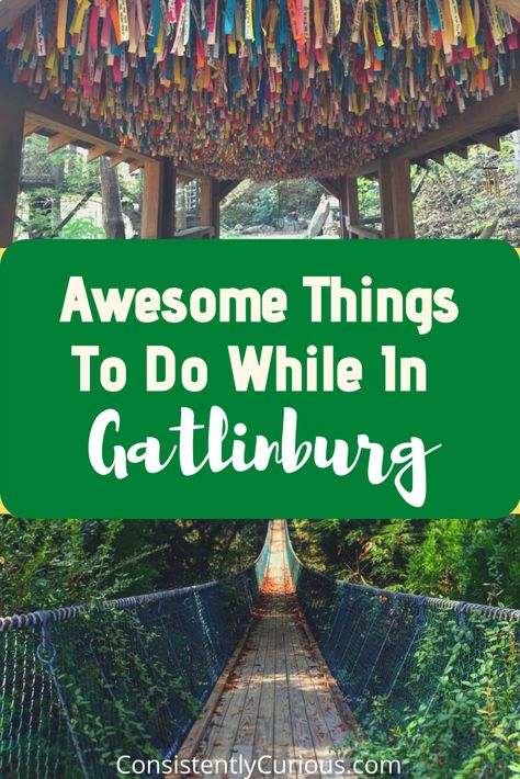 Things To Do In Gatlinburg, TN: Venturing Beyond the Strip Tennessee Family Vacation, Things To Do In Gatlinburg, Gatlinburg Tennessee Vacation, Tennessee Road Trip, Smokey Mountains Vacation, Gatlinburg Vacation, Smoky Mountains Vacation, Tennessee Travel, Tennessee Vacation