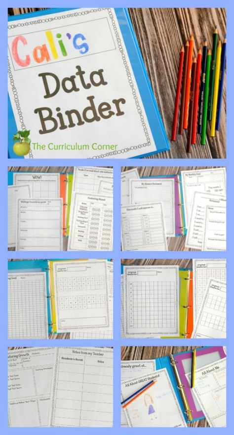 FREEBIE ALERT! 60 editable student data tracking binder pages from The Curriculum Corner Folder Binder, Data Organization, Student Data Binders, Data Folders, Student Data Tracking, Student Data Notebooks, Data Binders, Binder Templates, Data Notebooks