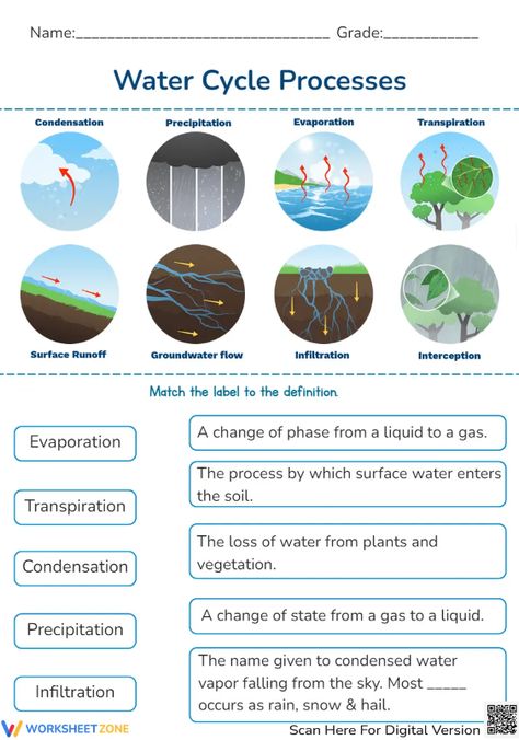 Grab this worksheet and learn about water cycle. Take the pdf and practice right now! #watercycle #science #worksheets #pdfs #printables #water #environment #matching #livingthings #watercycleprocesses #stages #steps Water Cycle Game, Water Cycle Process, Water Cycle Worksheet, Cycle Drawing, Water Environment, About Water, Water Cycle, Venn Diagram, Surface Water