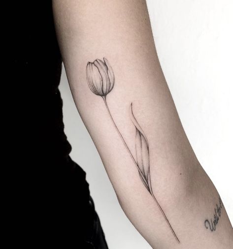 Tuberose Flower Tattoo, Peony Tulip Tattoo, Tulip Arm Tattoo, Flower Wave Tattoo, Tulips Tattoos, Tulip Spine Tattoo, Tulips Tattoo Design, Fine Line Tulip Tattoo, Tulip Flower Tattoo