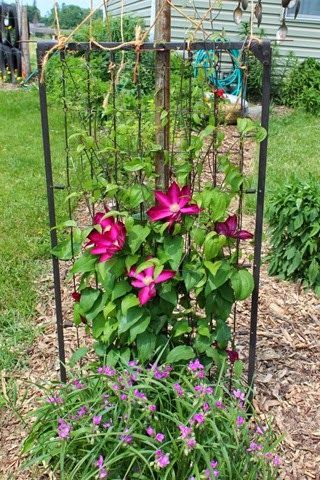 Crib Repurpose, Crib Spring, Clematis Trellis, Bed Spring, Trellis Ideas, Diy Trellis, Box Springs, Spring Outdoor, Diy Roses