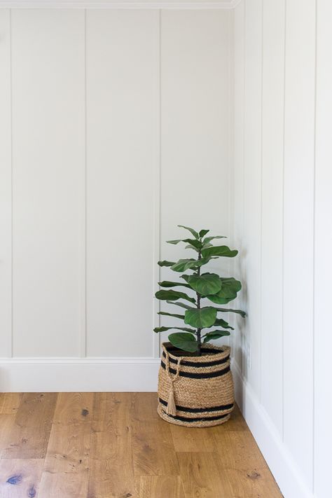 White Wood Accent Wall Bedroom, Batten Board Wall Ideas, All White Board And Batten Wall, Board And Batten Office Ideas, White Board And Batten Wall Bedroom, Farmhouse Wall Trim, Shiplap Magnolia Paint Color, Board And Batten White Wall, Board And Batten Wall White