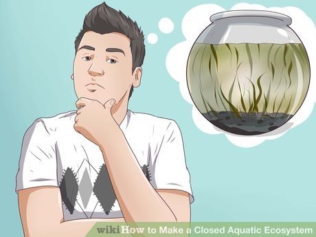 Image titled Make a Closed Aquatic Ecosystem Step 1 Ecosystems Projects, Freshwater Plants, Aquatic Ecosystem, Science Projects For Kids, Sand And Gravel, Marine Ecosystem, Science Fair Projects, Outside World, Aquatic Plants