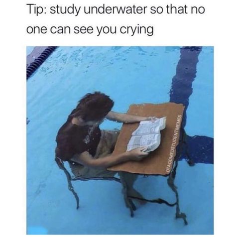 Study hard Fresh Memes, School Memes, Crazy Funny Memes, Really Funny Memes, Funny Laugh, Funny Posts, Funny Cute, Dankest Memes, Funny Texts