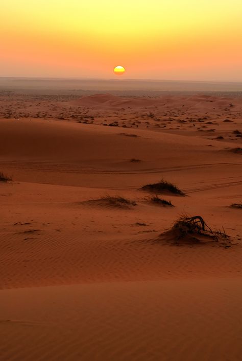 https://flic.kr/p/9tqgHU | desert sunset Desert Aesthetic, Deserts Of The World, Desert Dream, Desert Sunset, Desert Landscaping, In The Desert, Sand Dunes, Beautiful Sunset, The Desert