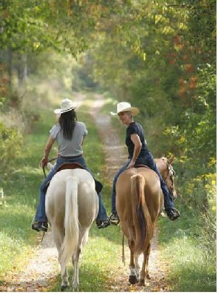 <3 Cowgirls Horse Crazy Flea Bitten Horse, Horse With Girl, Western Things, Woman Riding Horse, Cowboys And Angels, Land Animals, Night Ride, Equine Therapy, Cowgirl And Horse