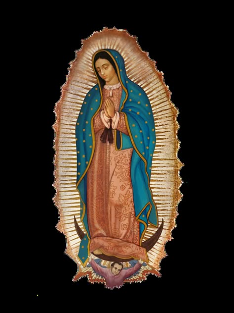 Free Image on Pixabay - Our Lady Of Guadalupe Laurence Amelie, Virgin Mary Tattoo, Lady Guadalupe, Mary Tattoo, Virgin Mary Art, Catholic Pictures, Mexican Culture Art, Virgin Of Guadalupe, Images Of Mary