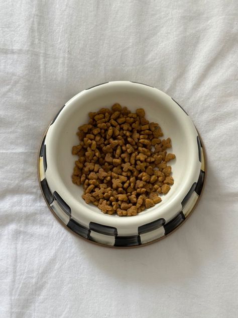 MacKenzie-Child Cat Food Bowl Pet Bowl Aesthetic, Cat Food Bowl Aesthetic, Aesthetic Cat Food Bowl, Aesthetic Cat Bowls, Dog Bowl Aesthetic, Cat Bowls Aesthetic, Dog Food Bowl Aesthetic, Aesthetic Dog Bowls, Ceramic Aesthetic