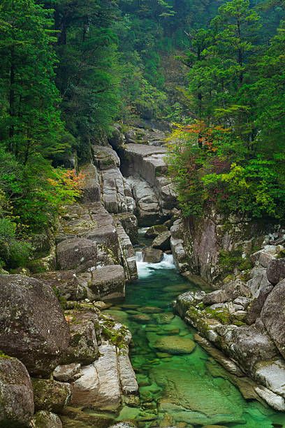 Yakushima Japan, Japan River, Yakushima Island, Environment References, Japanese Countryside, Yakushima, Vis Dev, Temple Ruins, Three Kingdoms