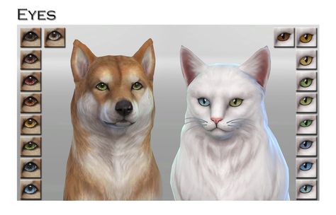 Sims 4 Pet Eyes, Alpha Cc, Dog Eyes, My Sims, Cc Sims, Sims 4 Cc, Eye Color, Sims 4, Pet