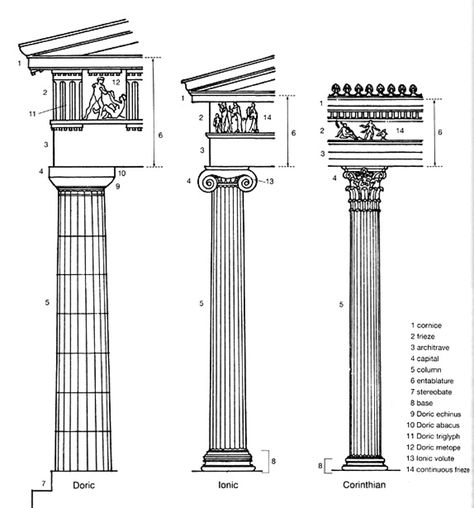 Column Drawing, Ancient Greece Architecture, Doric Order, Greece Architecture, Architecture Blueprints, Architecture Classic, Doric Column, Greek Columns, European Sculpture