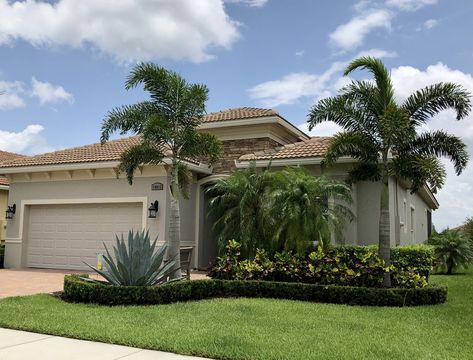 Agave Plant Landscaping Florida, Pygmy Palm Landscaping, Pigmy Palms Landscaping, Queen Palm Landscaping Front Yards, Foxtail Palm Landscaping, Pigmy Palm Trees Landscaping Ideas, Florida Home Landscaping, Palm Landscaping Ideas, Florida Landscape Design