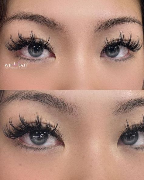 Lash Map, Natural Fake Eyelashes, Freckles Makeup, Wispy Eyelashes, Lash Extensions Makeup, Cat Eye Lash, Eyelash Extensions Styles, Lash Extensions Styles, Perfect Eyelashes