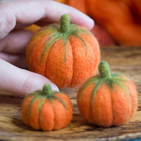 Felted Pumpkins, Wool Colours, Tovad Ull, Diy Tricot, Felt Mushroom, Waldorf Crafts, Felt Pumpkins, Wool Felt Projects, Needle Felting Diy