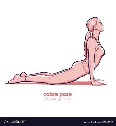 Bhujangasana Pose, Cobra Vector, Yoga Postures Asana, Cobra Pose Yoga, Pilates Exercise, Cobra Pose, Meaningful Drawings, Pose Yoga, Free Yoga