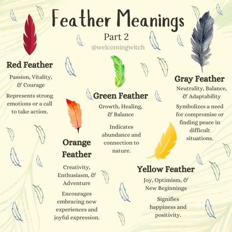 Different color feather meanings and what they symbolize. . . . . . . . . . #witchlife #witchesofinstagram #witchcraft #pagan #witchy #witchtok #witchyvibes #witchesofig #witchythings #witchaesthetic #feather #feathers Bird Feather Identification, Feather Symbolism Meaning, Feather Color Meaning, Feather Identification, Feather Symbolism, Feather Meaning, Pagan Crafts, W.i.t.c.h Aesthetic, Athena Goddess