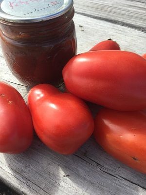 Diy Ketchup, Ketchup Recipes, Tomato Ketchup Recipe, Diy Spice Mix, Homemade Ketchup Recipes, Homestead Recipes, Oven Roasted Tomatoes, Ketchup Recipe, Fresh Tomato Recipes