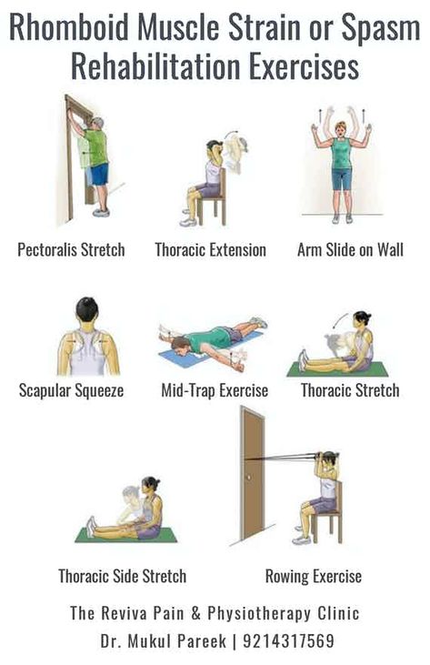 Rhomboid muscle pain can also cause pain in the mid-upper back, at the backs of the shoulders, or between the spine and the shoulder blade. It can also be felt in the region above the shoulder blade. You may do all of these exercises right away. Exercises For Lower Back Pain, Exercises For Lower Back, Psoas Release, Bolesti Chrbta, Tight Hamstrings, Back Stretches For Pain, Lower Back Pain Exercises, Back Pain Remedies, Hamstring Stretch