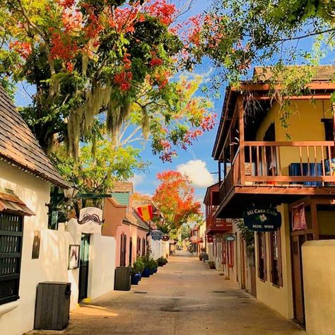 Cute Florida Cities And Towns To Hit On Your Fall Road Trip This Season - Narcity Cute Towns In Florida, Florida Fall Aesthetic, Fall Town, Fall In Florida, Florida Cities, Florida Vibes, Florida Fall, Cute Town, Florida Baby