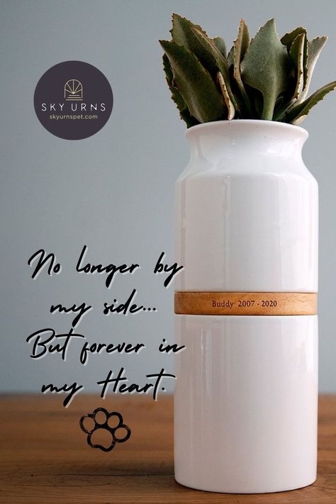 A fresh take on pet urns | Simple and modern pet urns | Contemporary pet urns | Functional pet urn Dog Cremation, Cute Cat Quotes, Pet Urns Dogs, Pet Cremation Urns, Coil Pots, Cat Urns, Dog Urns, Pet Urn, Dog Quotes Funny