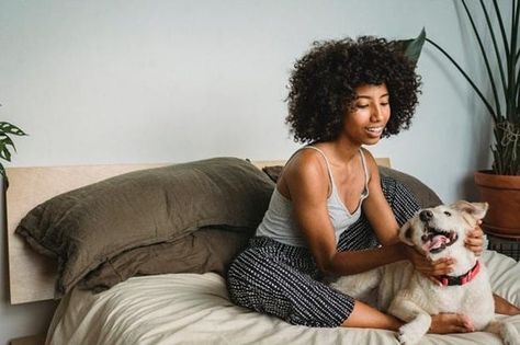 You can do simple things to keep your home safe for your pets. This article sheds light on five simple things you can do to avoid incidence with your pets. Cool Comforters, Home Safes, Linen Sheets, Linen Throw Pillow, Linen Duvet Covers, Linen Duvet, Linen Pillow Cases, Linen Throw, Pet Safe