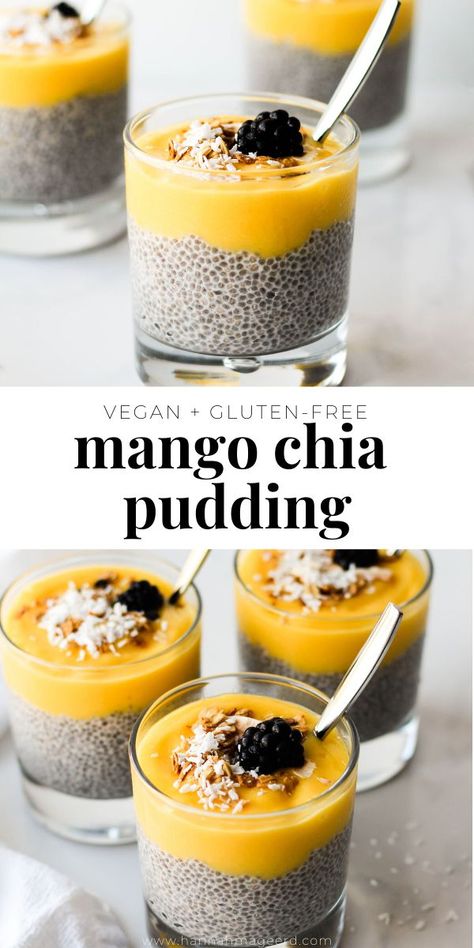 Fibre Breakfast, Chia Pudding Vegan, Chia Pudding Recipes Healthy, Chia Puddings, Mango Chia Pudding, High Fiber Breakfast, Aip Breakfast, Chia Recipe, Sweet Surrender