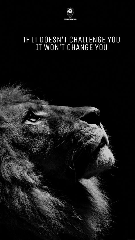 Lion Wallpaper With Quotes, Motivational Quotes For Success Wallper, Mens Motivational Wallpaper, Lion Motivation Wallpaper, Wallpaper Success Motivation, Powerful Motivational Quotes For Success Wallpaper, Fitness Motivation Wallpaper Hd, Motivational Wallpaper Men, Leadership Wallpaper