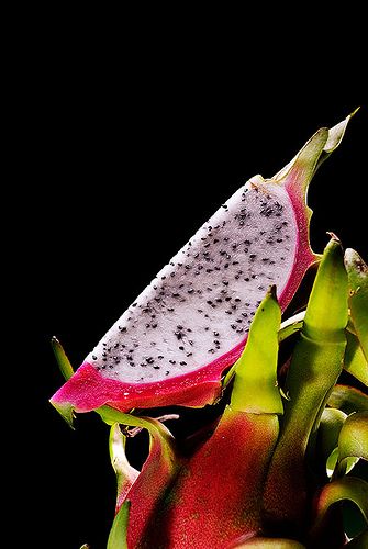 Still life Dragon fruit Taken by Mads Monsen Dragon Fruit Photography, Life Image, Still Life Images, Fruit Photography, Annual Calendar, Water Photography, Dragon Fruit, Life Photography, Still Life Photography