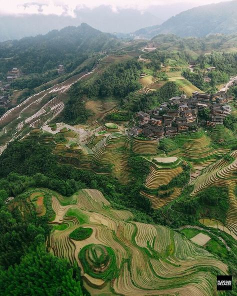 Landscape From Above, Explore China, Living In China, Foggy Forest, Chinese Landscape, Aerial Drone, Drone Photos, Aerial Photo, Green Landscape