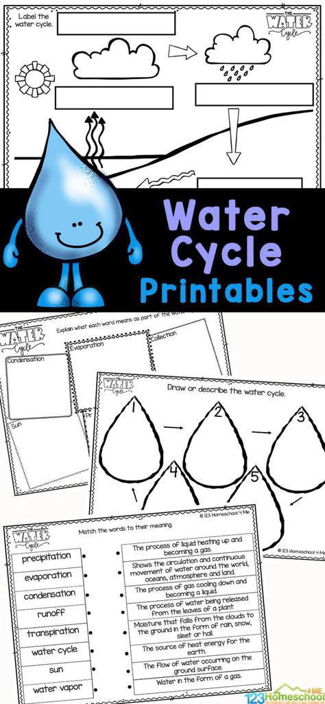 Water Cycle For Kids, Hibernation Preschool Activities, Water Cycle Experiment, Water Cycle Project, Plant Life Cycle Worksheet, Water Cycle Diagram, Water Cycle Activities, Water Cycle Worksheet, Free Science Worksheets