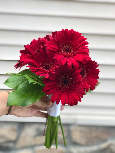 Daisy Gerbera Bouquets, Red Gerbera Daisy Bouquet, Red Daisy Bouquet, Red Gerbera Bouquet, Gerbera Flower Bouquet, Red Gerbera, Gerberas Bouquet, Daisy Bridesmaid Bouquet, Gerber Daisy Bouquet Wedding